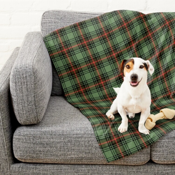 Green Vintage Plaid Pet Blanket