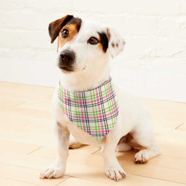 Hot Pink and Lime Green Vintage Plaid Pet Bandana