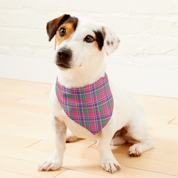 Pink and Purple Vintage Plaid Pet Bandana