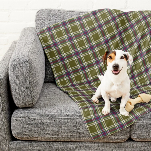 Moss Green and Purple Plaid Pet Blanket