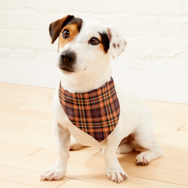 Orange, Russet, and Yellow Plaid Pet Bandana