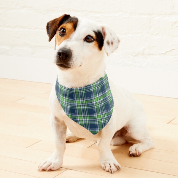 Blue and green sporty plaid pet bandana