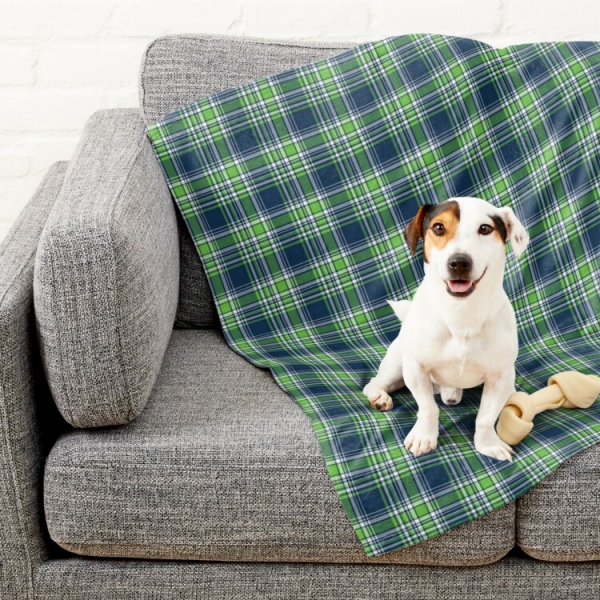 Blue and Bright Green Sporty Plaid Pet Blanket
