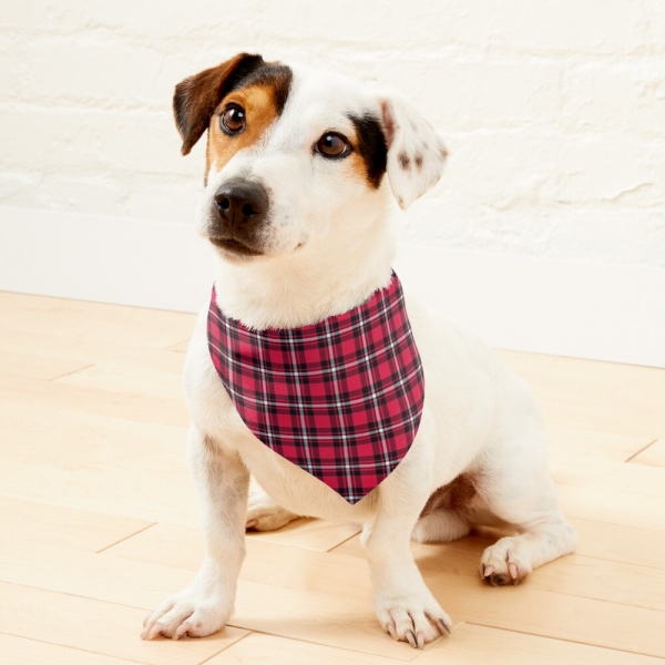 Cherry red, black, and white sporty plaid pet bandana