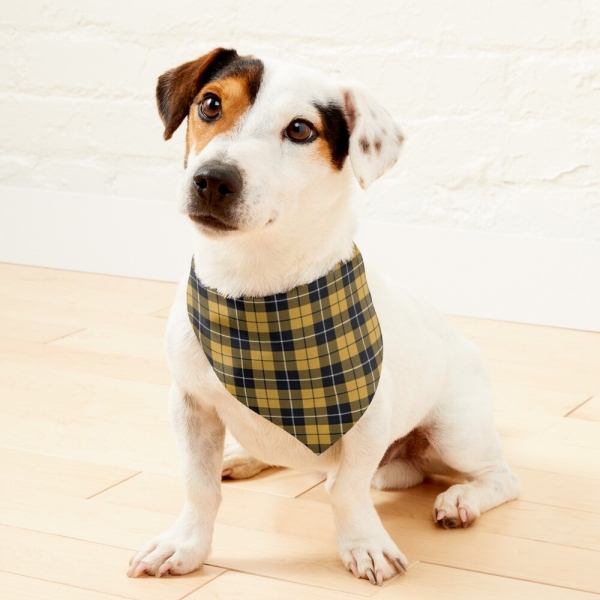 Gold and black sporty plaid pet bandana