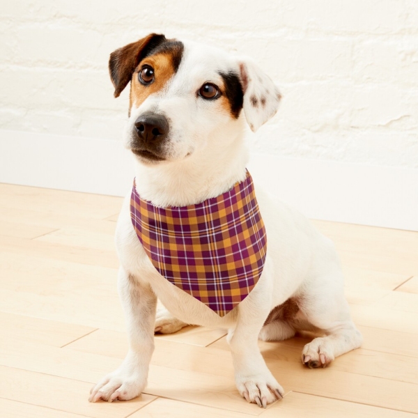 Maroon and orange sporty plaid pet bandana