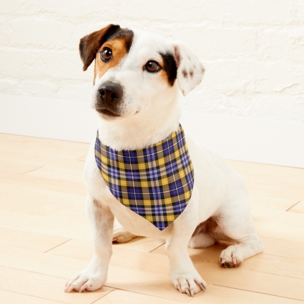 Purple and yellow gold sporty plaid pet bandana