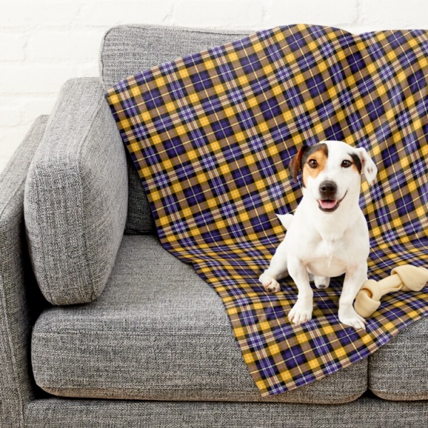 Purple and yellow gold sporty plaid pet blanket