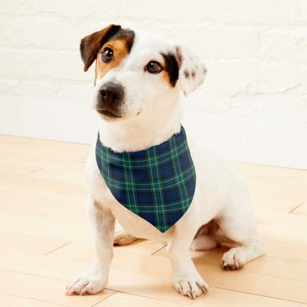 Abercrombie tartan pet bandana