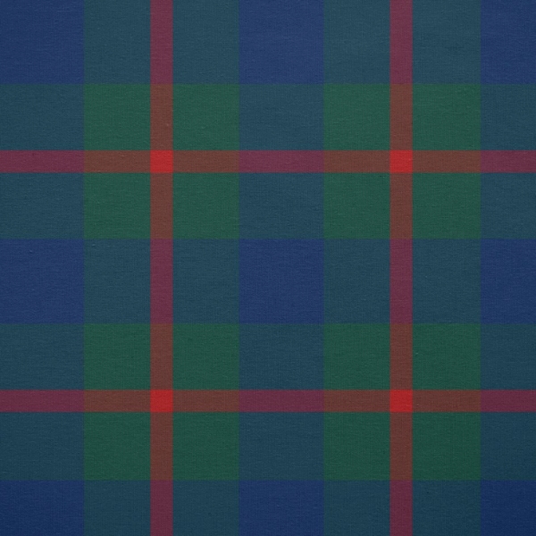 Clan Agnew Tartan Fabric