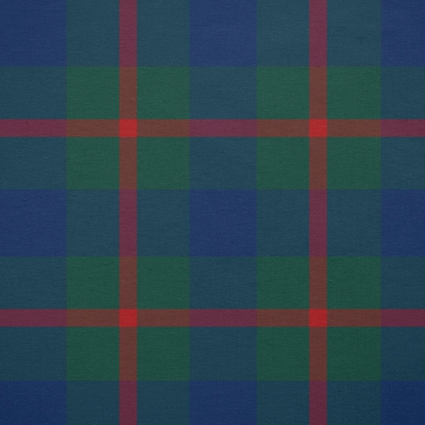 Agnew tartan fabric