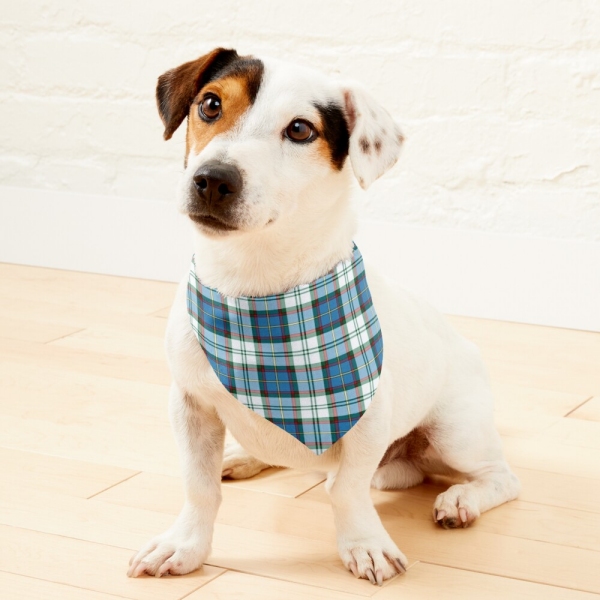 Alberta Dress Tartan Pet Bandana