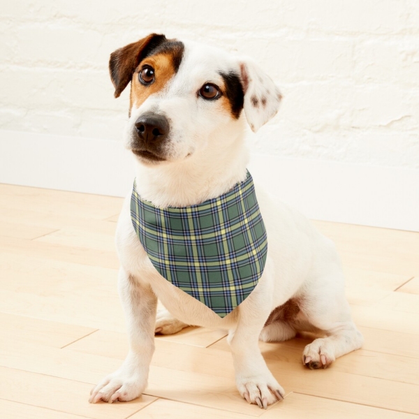 Alberta Tartan Pet Bandana