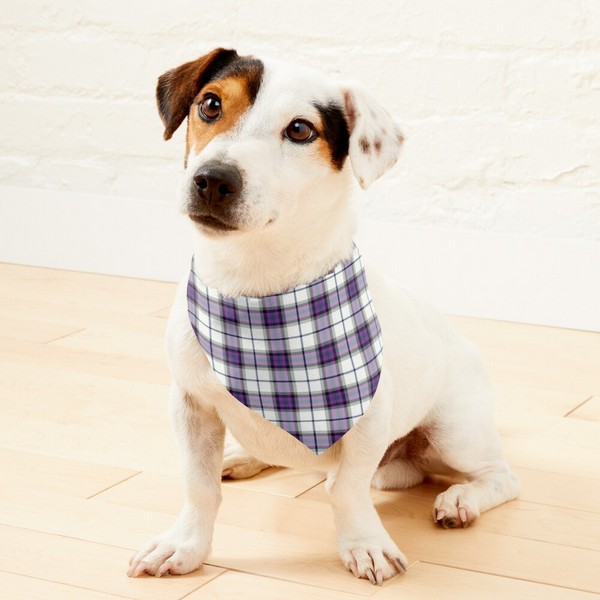 Clan Alexander Dress Tartan Pet Bandana