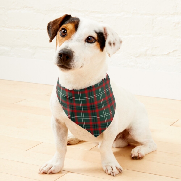 Arkansas Tartan Pet Bandana