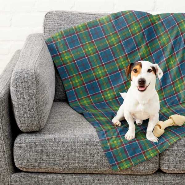 Ayrshire tartan pet blanket