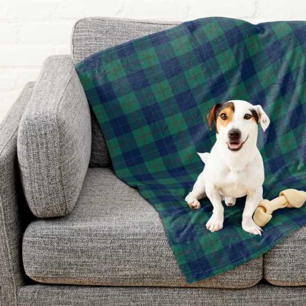 Barclay Hunting tartan pet blanket