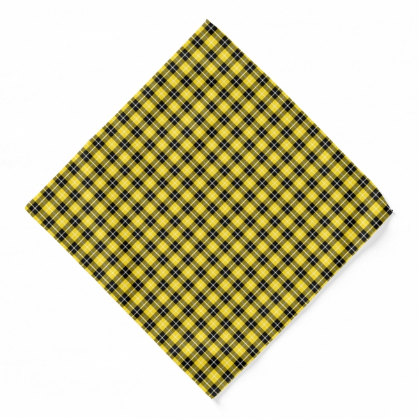 Barclay tartan bandana