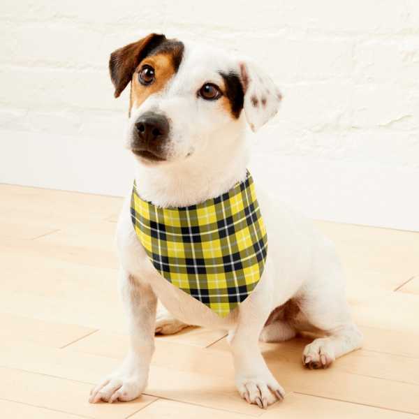 Barclay tartan pet bandana