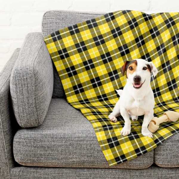 Barclay tartan pet blanket