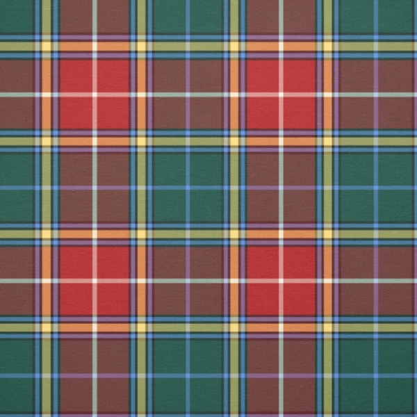 Clan Baxter Tartan Fabric
