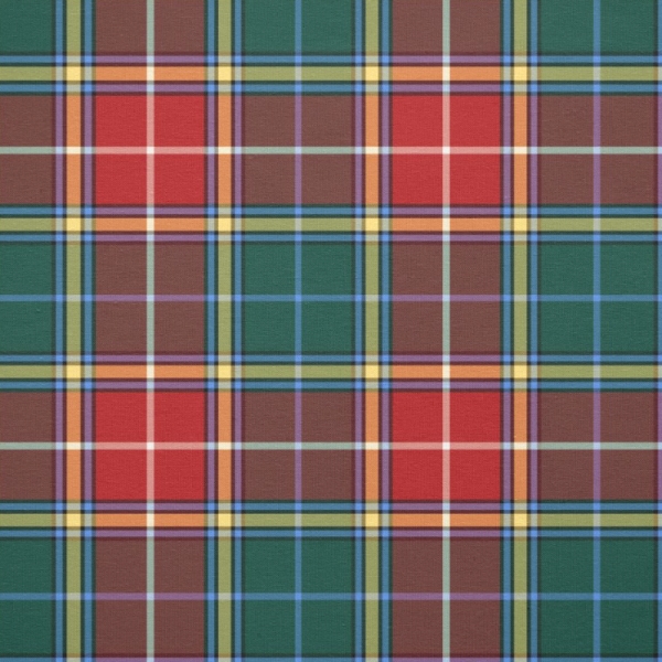 Baxter tartan fabric