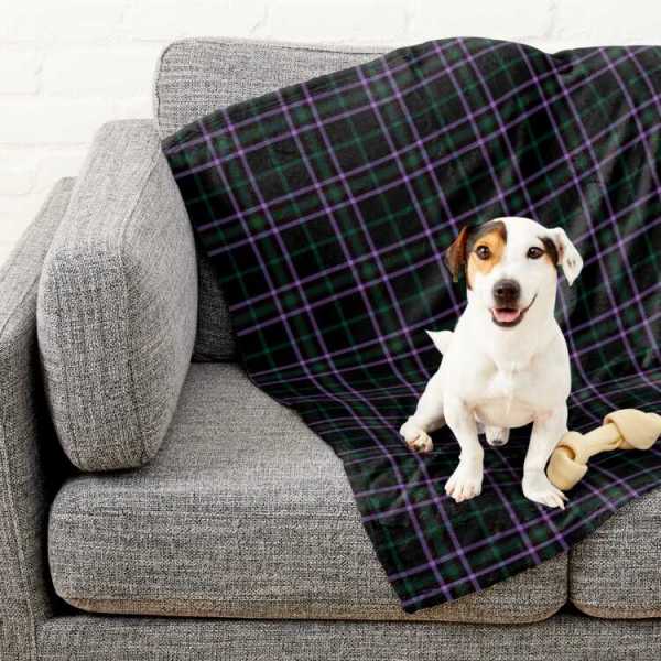 Boyle tartan pet blanket