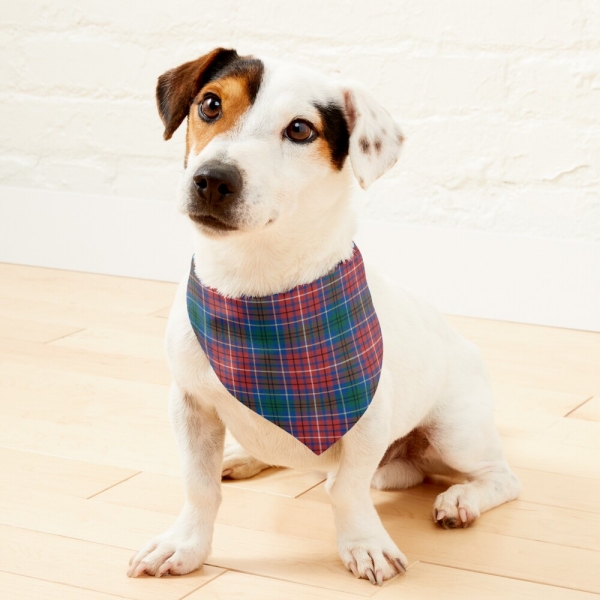 British Columbia Tartan Pet Bandana