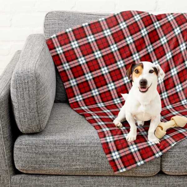 Brodie Dress tartan pet blanket