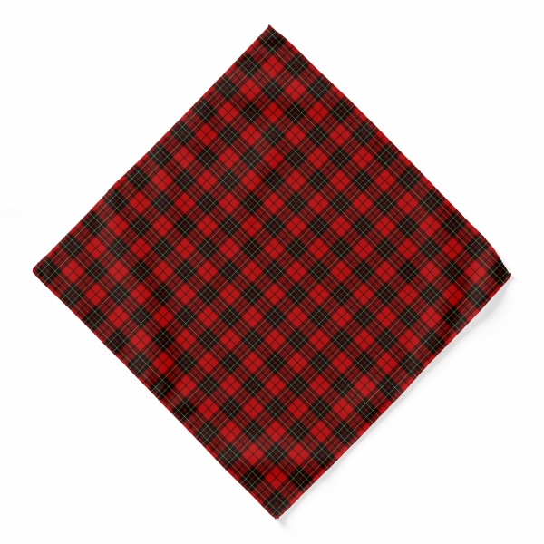 Brodie tartan bandana