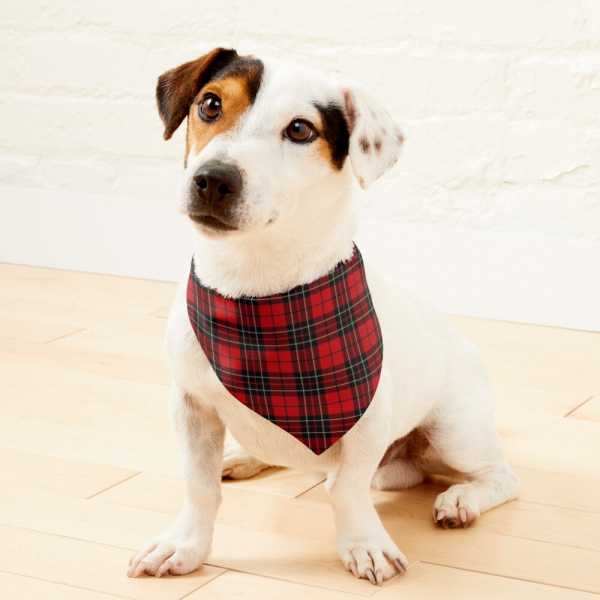 Brodie tartan pet bandana