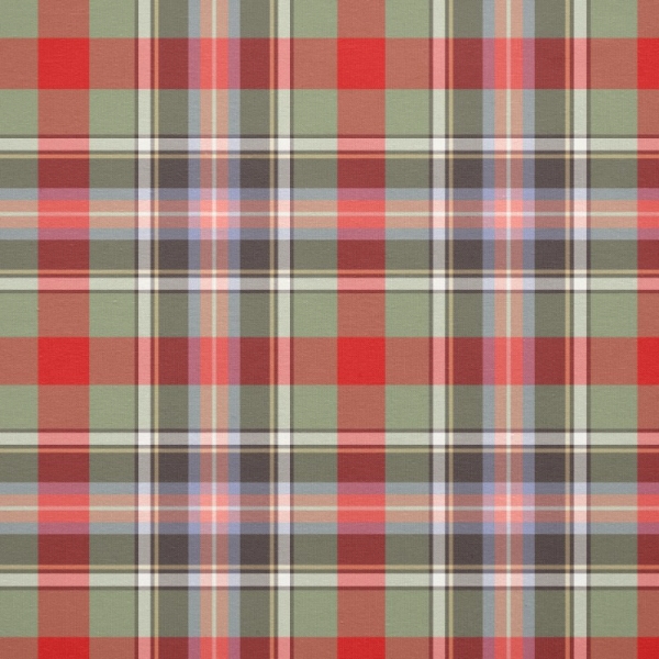 Bruce of Kinnaird tartan fabric