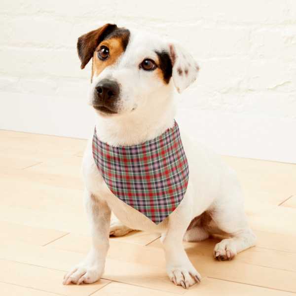 Clan Bruce of Kinnaird Tartan Pet Bandana