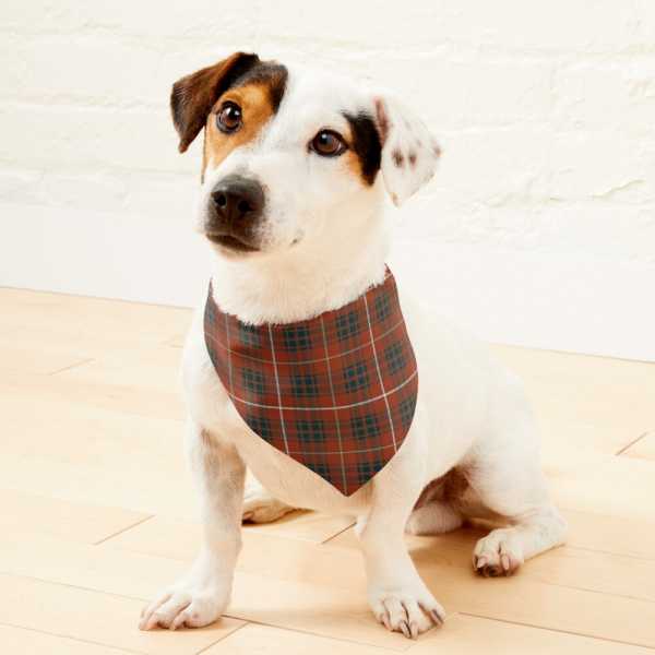 Clan Bruce Weathered Tartan Pet Bandana