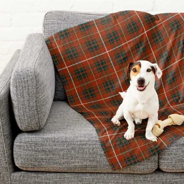 Bruce Weathered tartan pet blanket