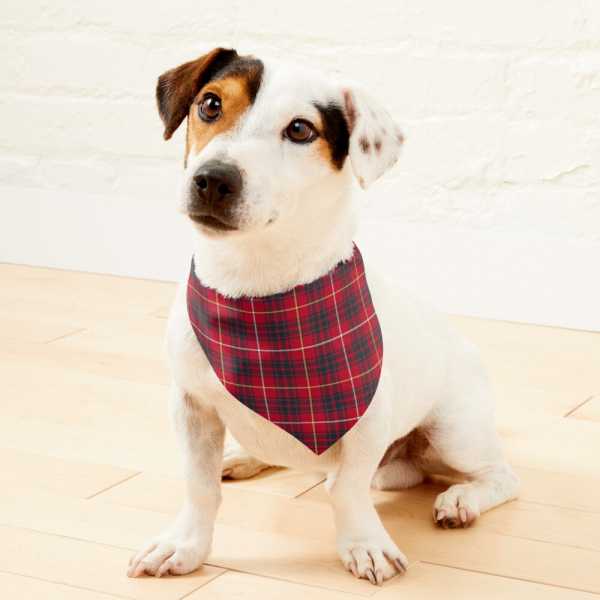 Clan Bruce Tartan Pet Bandana