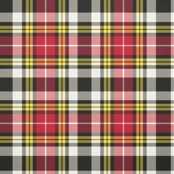 Buchanan Dress tartan fabric