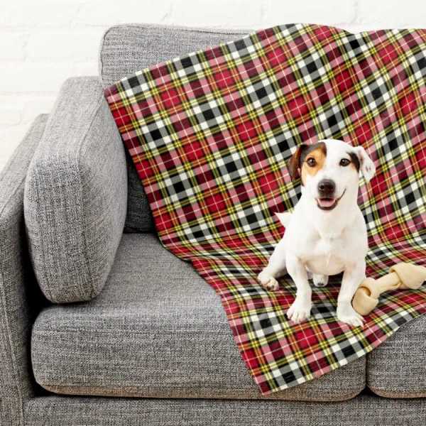 Buchanan Dress tartan pet blanket