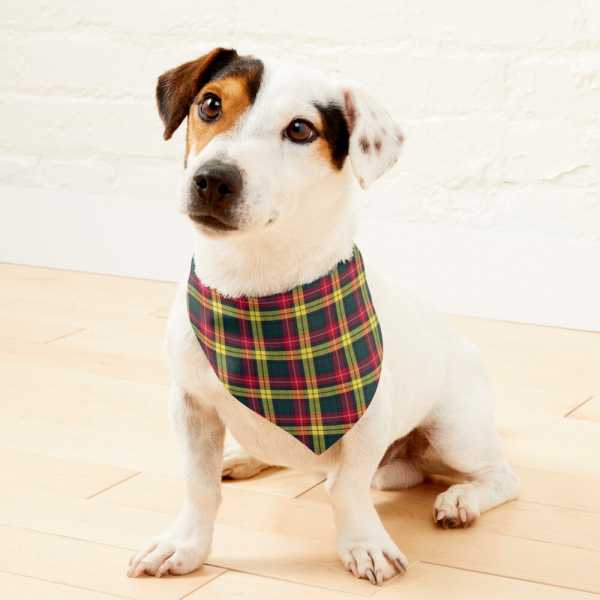 Clan Buchanan Tartan Pet Bandana