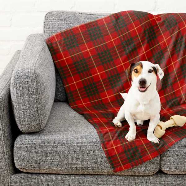 Cameron tartan pet blanket