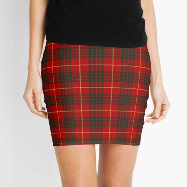 Cameron tartan mini skirt