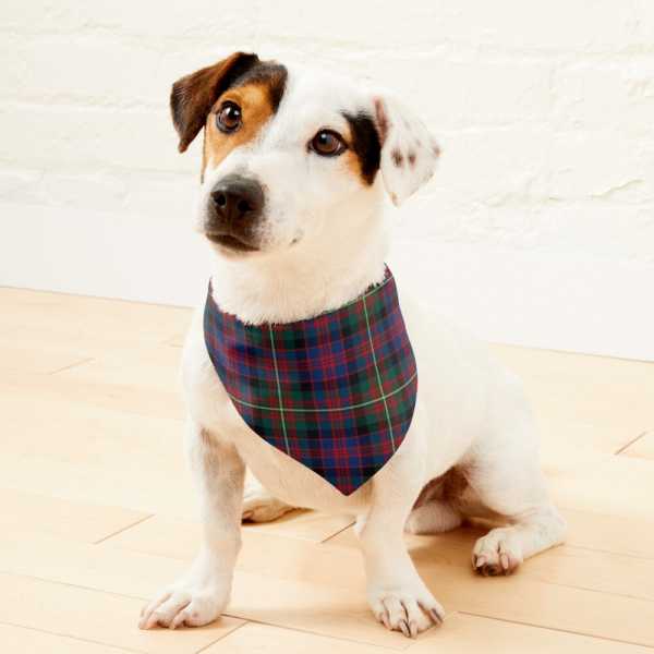 Carnegie tartan pet bandana