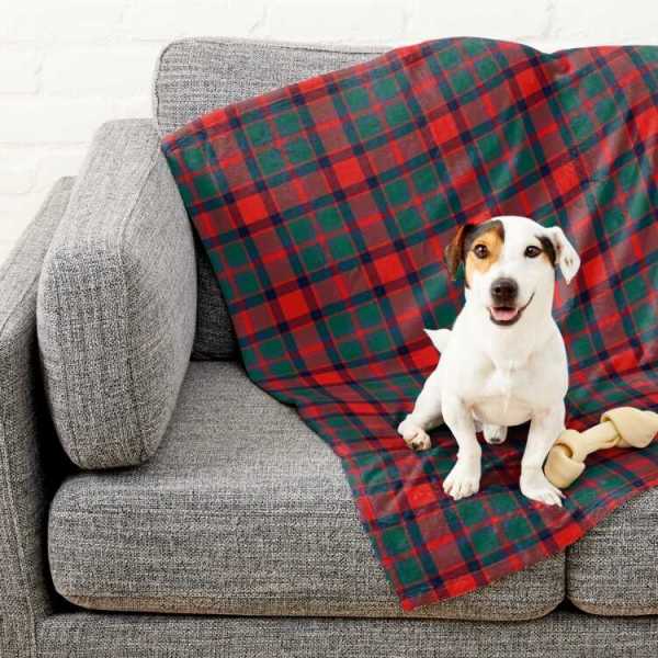 Carrick District tartan pet blanket