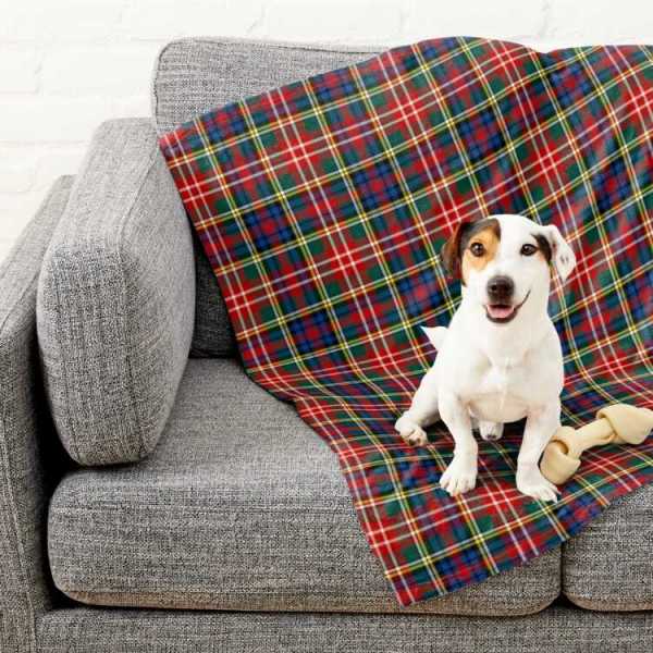 Clan Christie Tartan Pet Blanket