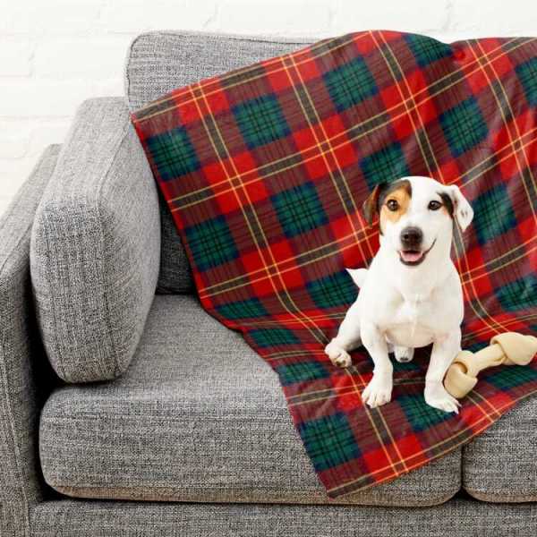 Clan Connolly tartan pet blanket