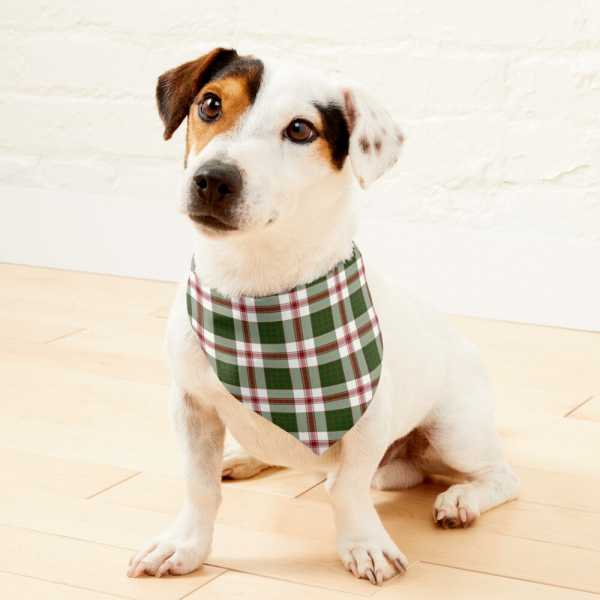 Clan Crawford Dress Tartan Pet Bandana