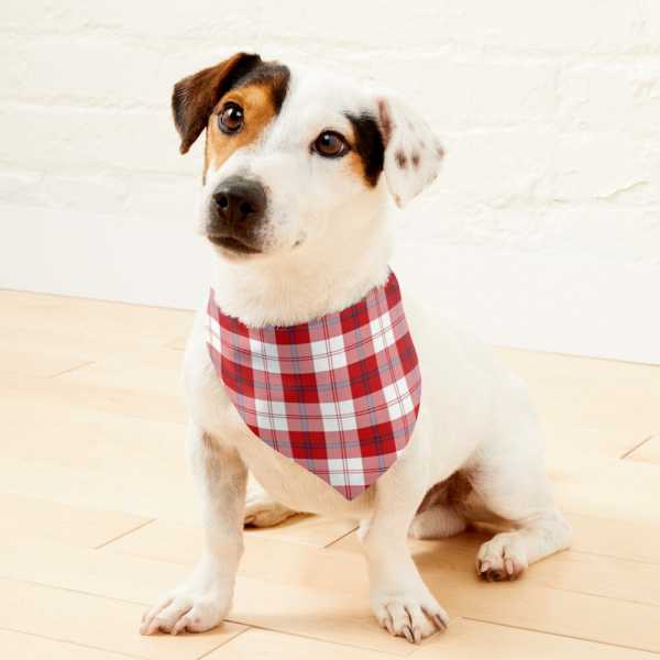 Cunningham Dress tartan pet bandana