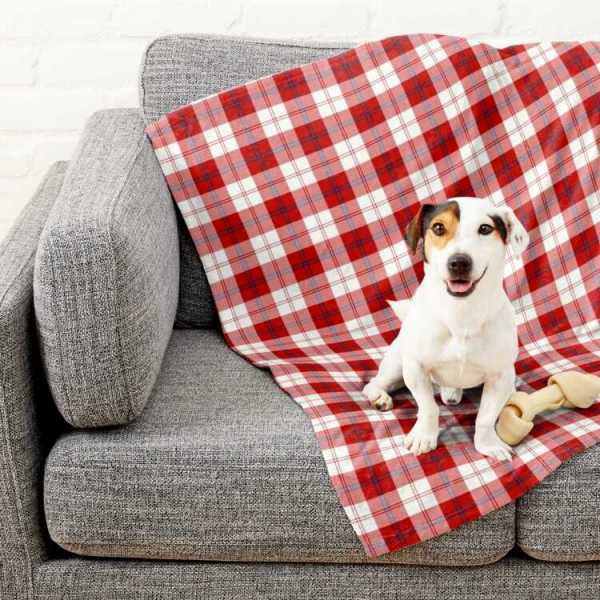 Cunningham Dress tartan pet blanket