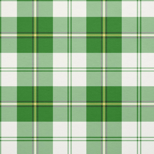 Clan Cunningham Green Dress Tartan Fabric