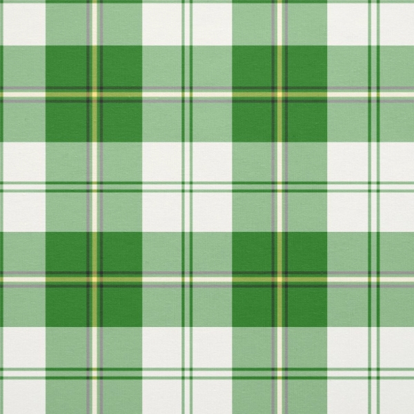 Cunningham Green Dress tartan fabric